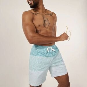 Chubbies The Whale Sharks Classic Lined Swim Trunks Size L